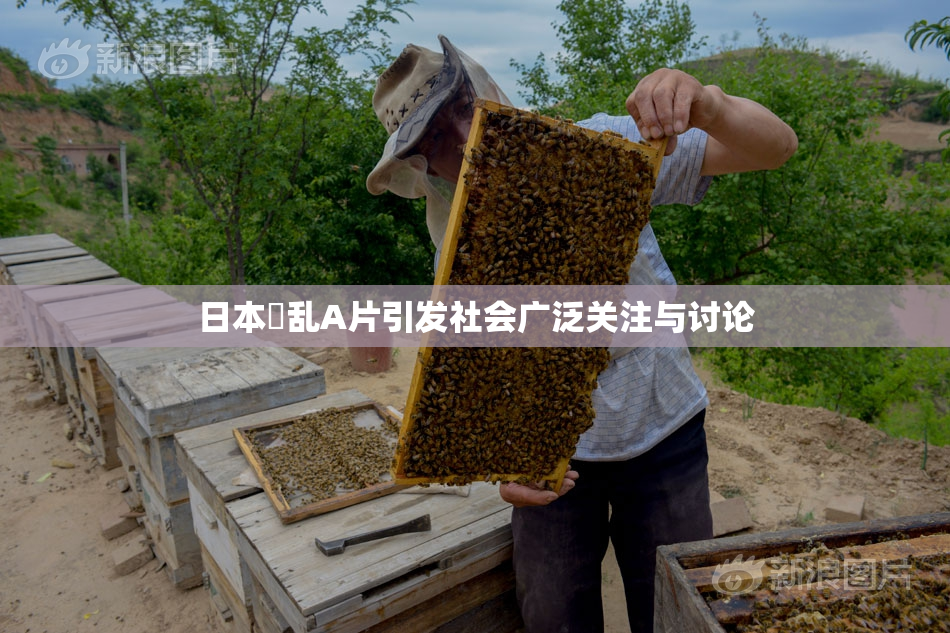 日本婬乱A片引发社会广泛关注与讨论