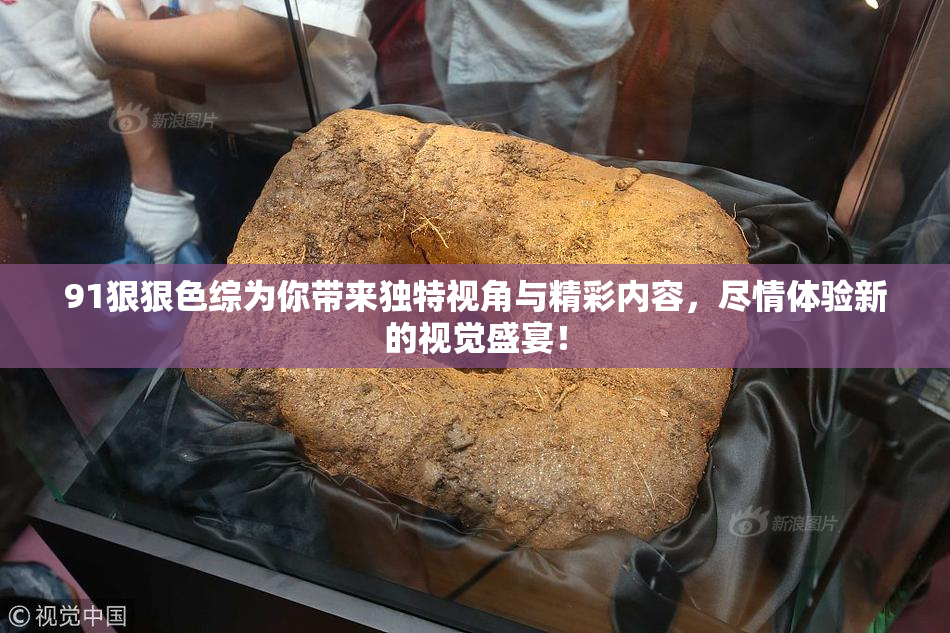91狠狠色综为你带来独特视角与精彩内容，尽情体验新的视觉盛宴！
