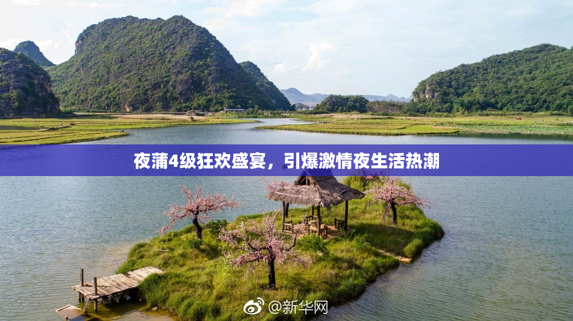 夜蒲4级狂欢盛宴，引爆激情夜生活热潮