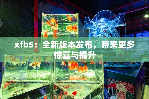 xfb5：全新版本发布，带来更多惊喜与提升