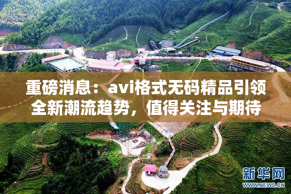 重磅消息：avi格式无码精品引领全新潮流趋势，值得关注与期待