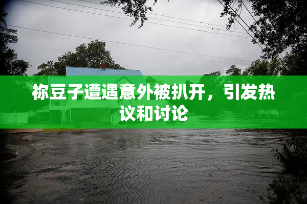 祢豆子遭遇意外被扒开，引发热议和讨论