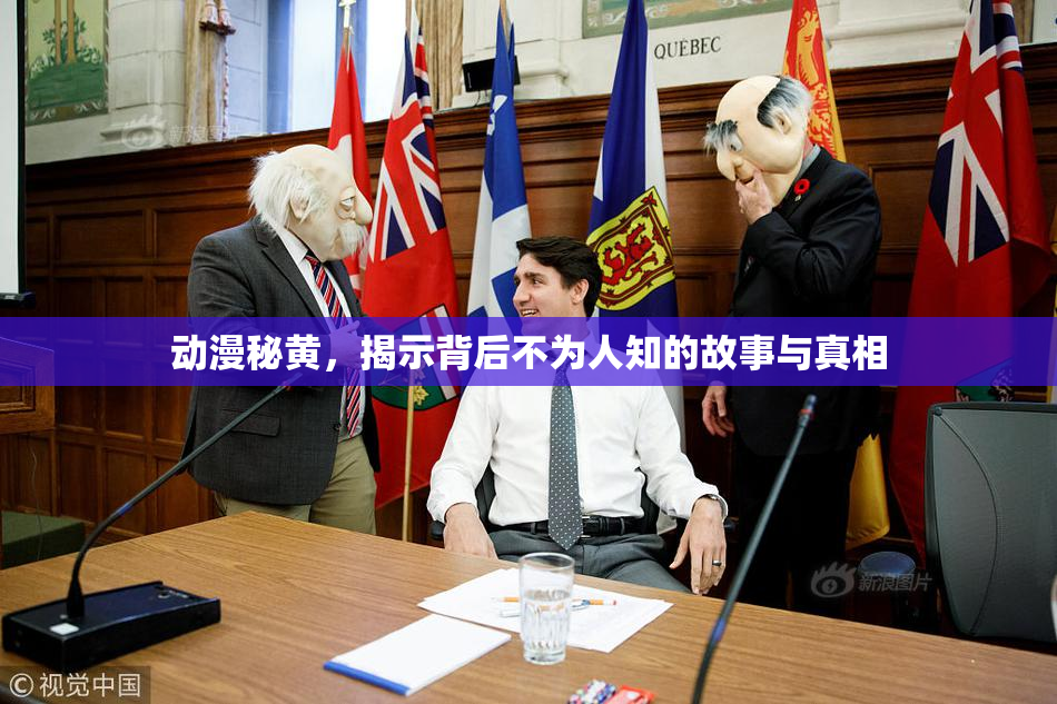 动漫秘黄，揭示背后不为人知的故事与真相