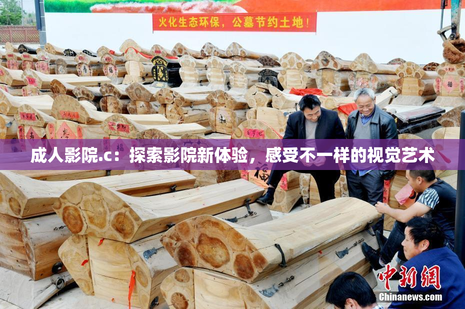 成人影院.c：探索影院新体验，感受不一样的视觉艺术