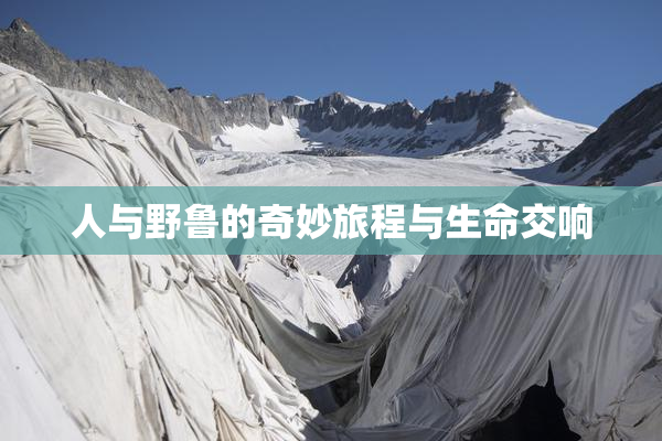 人与野鲁的奇妙旅程与生命交响