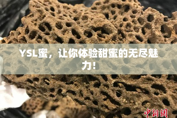 YSL蜜，让你体验甜蜜的无尽魅力！