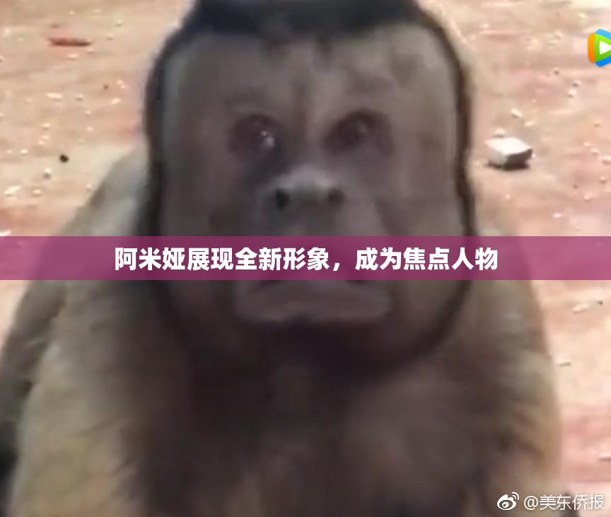 阿米娅展现全新形象，成为焦点人物