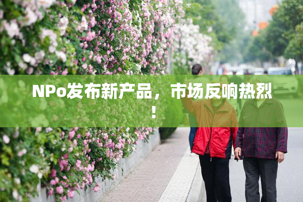 ΝPo发布新产品，市场反响热烈！