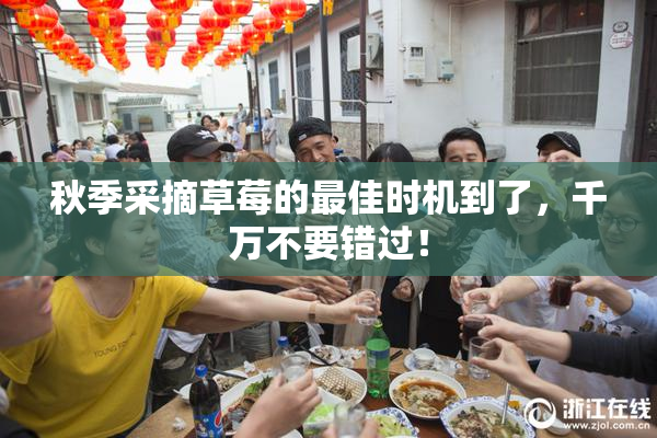 秋季采摘草莓的最佳时机到了，千万不要错过！