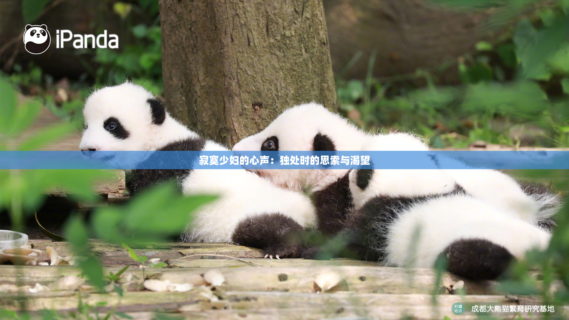 寂寞少妇的心声：独处时的思索与渴望