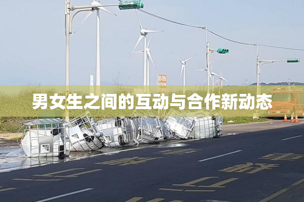 男女生之间的互动与合作新动态