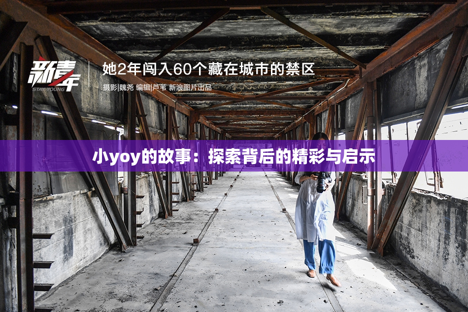 小yoy的故事：探索背后的精彩与启示