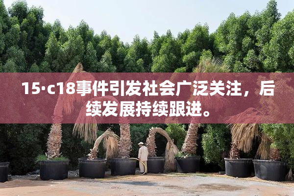 15·c18事件引发社会广泛关注，后续发展持续跟进。