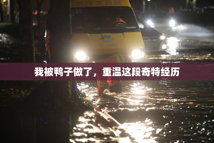 我被鸭子做了，重温这段奇特经历