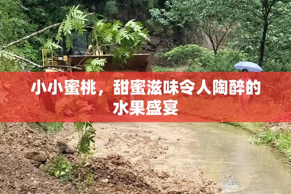 小小蜜桃，甜蜜滋味令人陶醉的水果盛宴