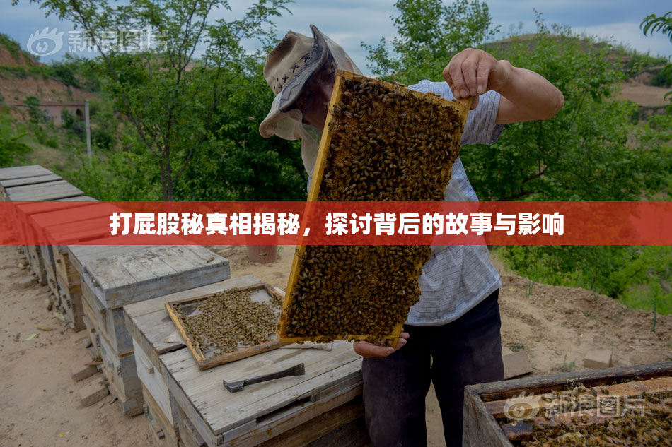 打屁股秘真相揭秘，探讨背后的故事与影响
