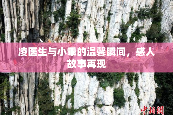 凌医生与小乖的温馨瞬间，感人故事再现