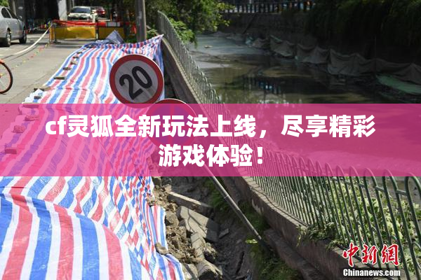 cf灵狐全新玩法上线，尽享精彩游戏体验！