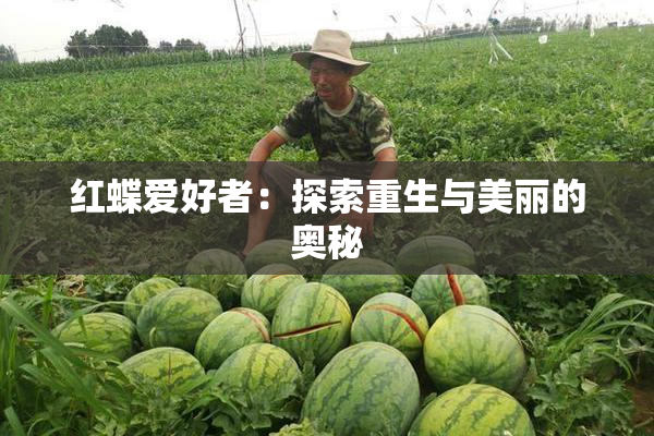 红蝶爱好者：探索重生与美丽的奥秘