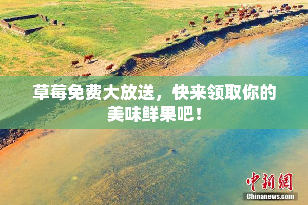 草莓免费大放送，快来领取你的美味鲜果吧！