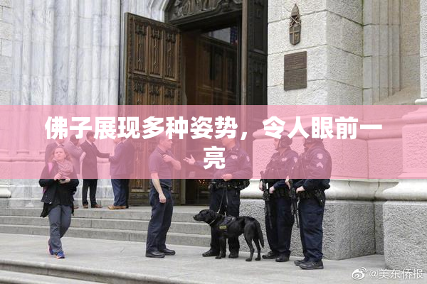 佛子展现多种姿势，令人眼前一亮