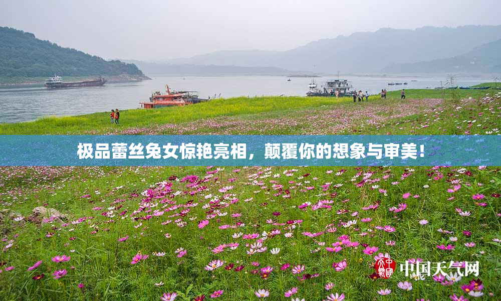 极品蕾丝兔女惊艳亮相，颠覆你的想象与审美！