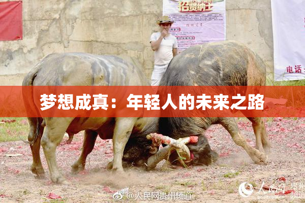 梦想成真：年轻人的未来之路