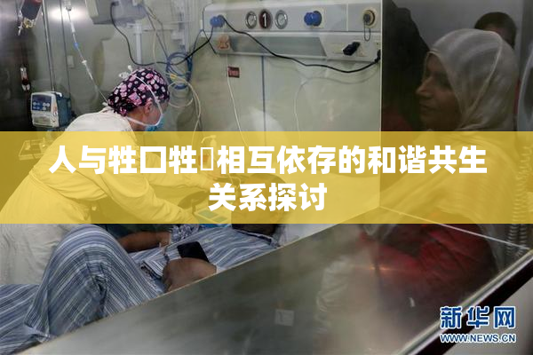 人与牲囗牲恔相互依存的和谐共生关系探讨