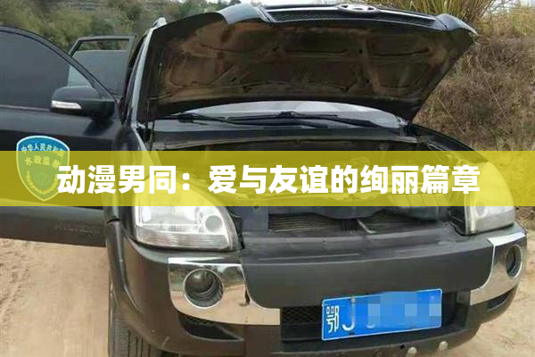 动漫男同：爱与友谊的绚丽篇章