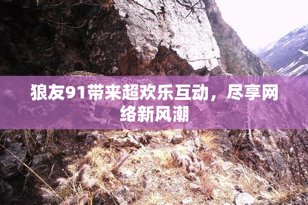 狼友91带来超欢乐互动，尽享网络新风潮