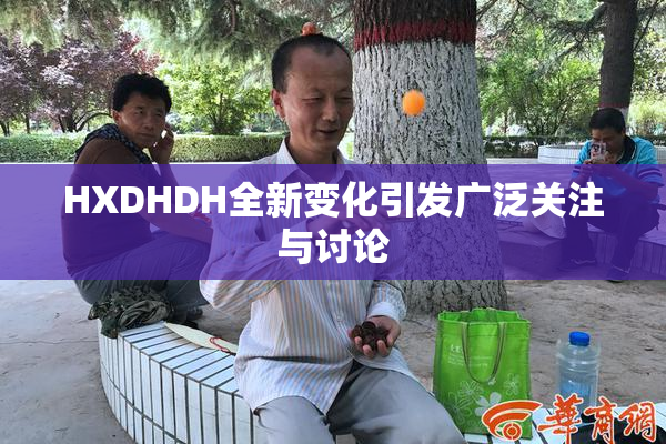 HXDHDH全新变化引发广泛关注与讨论
