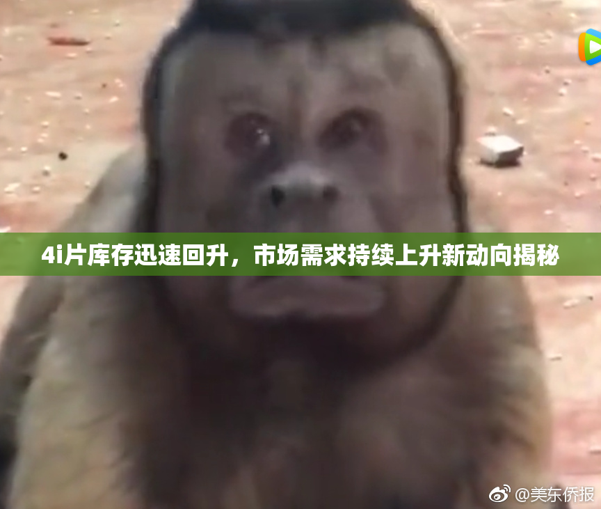 4i片库存迅速回升，市场需求持续上升新动向揭秘