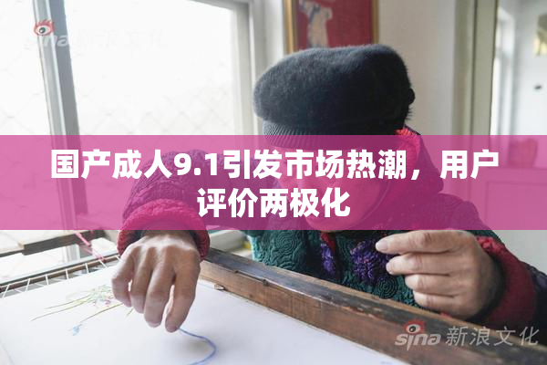 国产成人9.1引发市场热潮，用户评价两极化