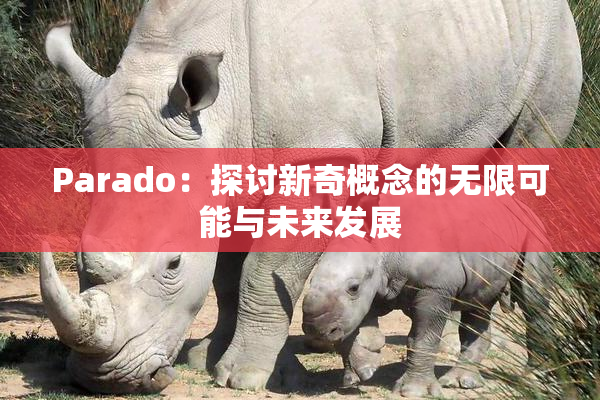 Parado：探讨新奇概念的无限可能与未来发展