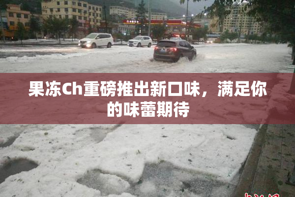 果冻Ch重磅推出新口味，满足你的味蕾期待