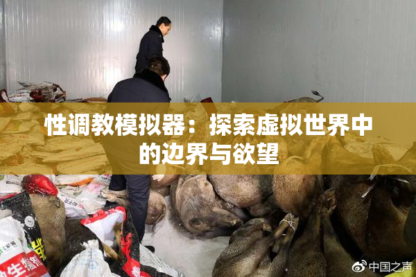 性调教模拟器：探索虚拟世界中的边界与欲望