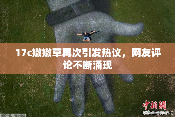 17c嫩嫩草再次引发热议，网友评论不断涌现