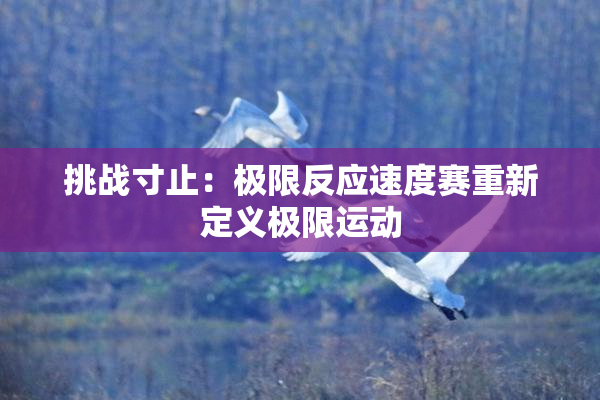 挑战寸止：极限反应速度赛重新定义极限运动