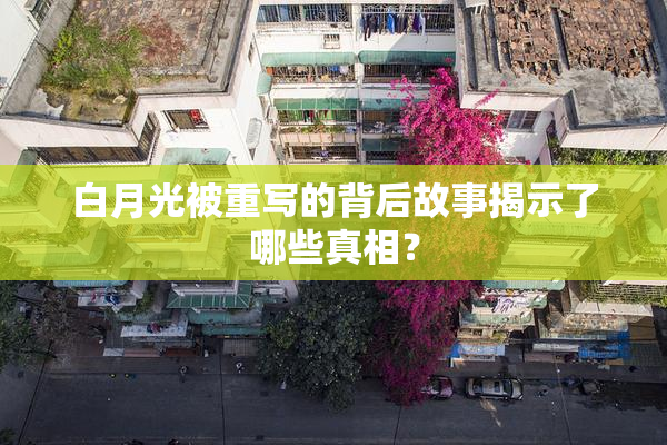 白月光被重写的背后故事揭示了哪些真相？