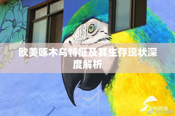 欧美啄木乌特征及其生存现状深度解析