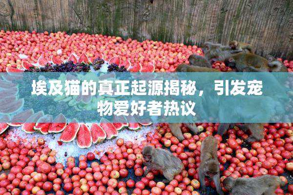 埃及猫的真正起源揭秘，引发宠物爱好者热议