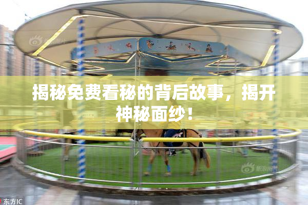 揭秘免费看秘的背后故事，揭开神秘面纱！
