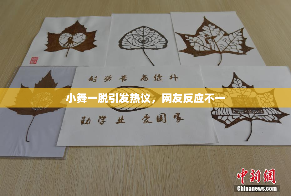 小舞一脱引发热议，网友反应不一