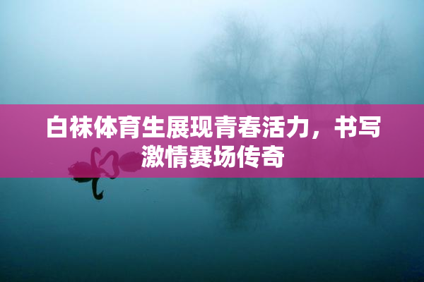 白袜体育生展现青春活力，书写激情赛场传奇