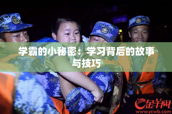 学霸的小秘密：学习背后的故事与技巧