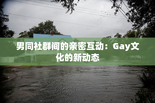 男同社群间的亲密互动：Gay文化的新动态