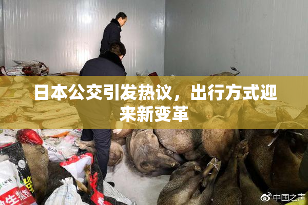 日本公交引发热议，出行方式迎来新变革