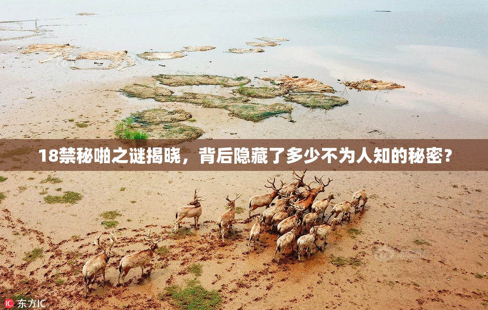 18禁秘啪之谜揭晓，背后隐藏了多少不为人知的秘密？