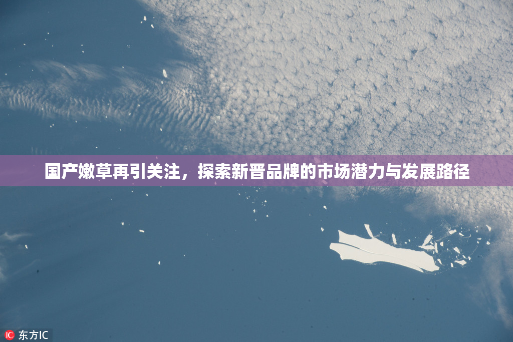 国产嫩草再引关注，探索新晋品牌的市场潜力与发展路径