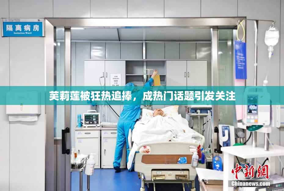 芙莉莲被狂热追捧，成热门话题引发关注